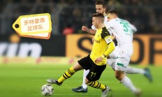 开云体育-多特蒙德主场击败法兰克福，取得胜利的简单介绍