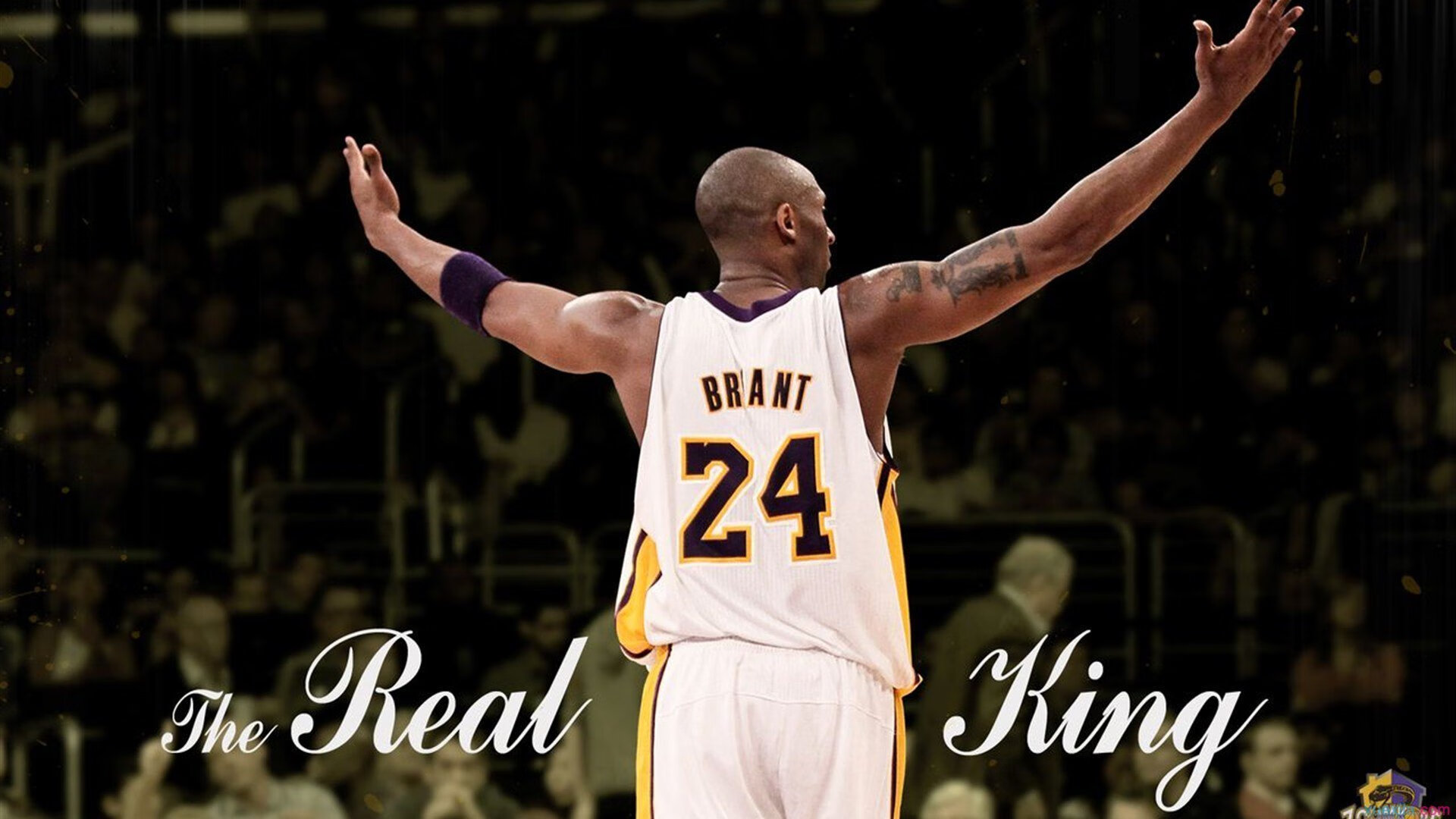 赛道上的逆袭，红牛力克迈凯伦，周冠宇闪耀高光时刻